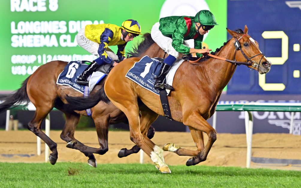 Unibet turf || unibetturf